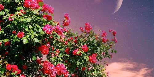 Sound of Sanctuary: A Cancer New Moon Reset