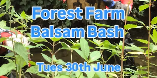 Forest Farm