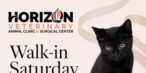 Walk-In Saturday