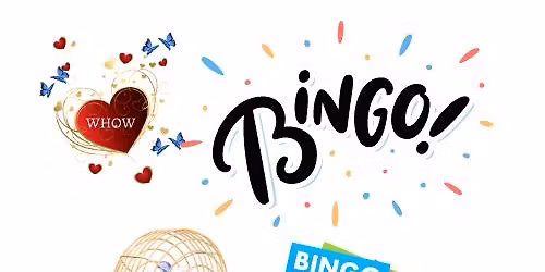 Ladies Bingo Night Out!