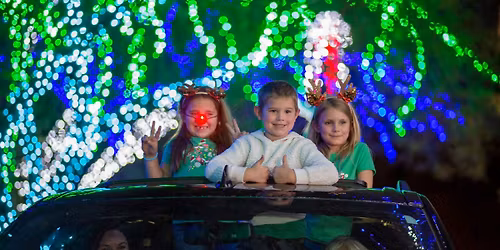 Cruise ZooLights