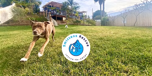 Smittens Rescue Earth Fest Fundraiser at Fenway\u2019s Runway