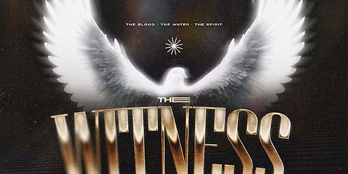 THE WITNESS