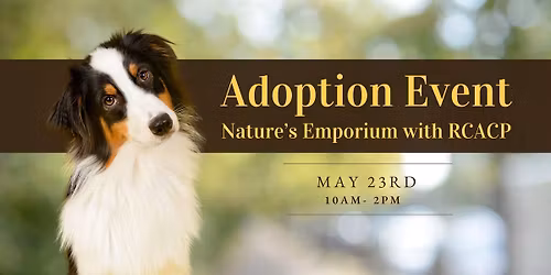 Adoption Event with RCACP