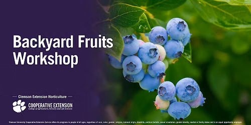 Backyard Fruits Workshop
