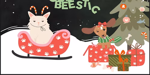 Goe Beestig Deinze Kerstshopping \u2728\ud83c\udf84 