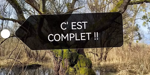 Sortie dans la R\u00e9serve Biologique Domaniale d'Offendorf