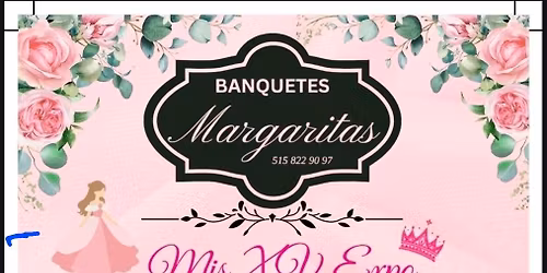 Mis XV Expo