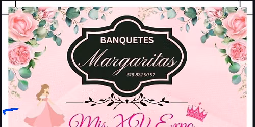 Mis XV Expo