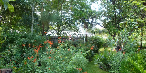 Water-Wise Workshop: Florida-Friendly Landscape Design by Eco System