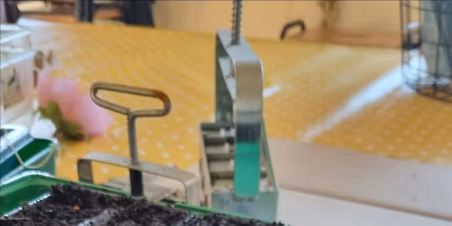 5 Week Gardening Workshop With The Gardening Lady (Hands On)