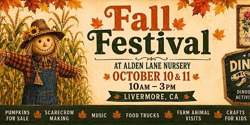 Fall Festival