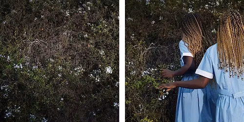 Special Edition Gallery Talk with Widline Cadet