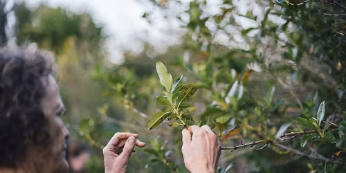 Rongo\u0101 M\u0101ori workshop