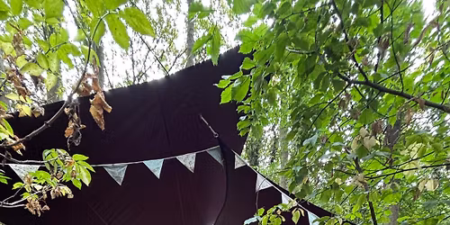Saplings Friday forest school