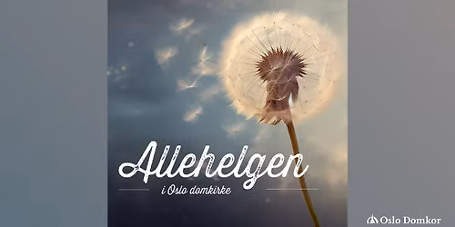 Himmel og jord \/\/ Allehelgenskonsert i Oslo domkirke
