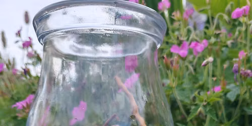 Closed Terrarium Workshop