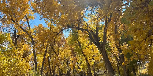 Nature Wanders of Wonder