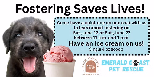 Foster Information and Ice Cream 