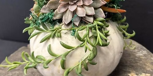  Plant-your-own Pumpkin Succulent Workshop 