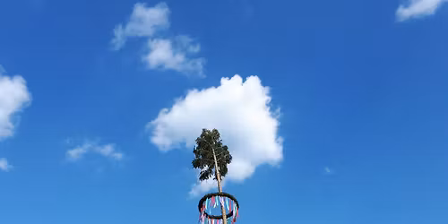 Maibaumsetzen T\u00f6ppeln 2026