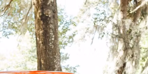 Christmas Minis Day Special ! 