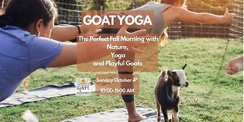 GOAT YOGA in Clarence