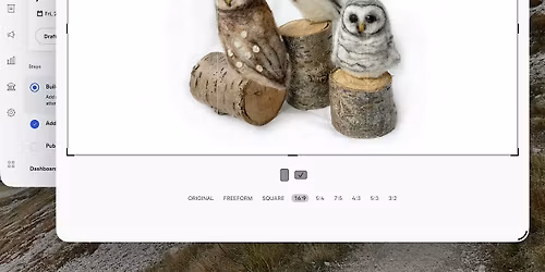 Needle Felting Workshop - Create your very own owl