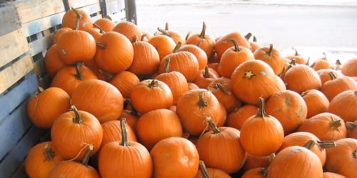 Shrimp City Slim (piano blues) in a pumpkin patch (noon-3 pm)