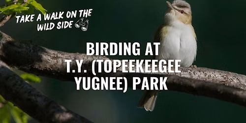TY (Topeekeegee Yugnee) Park Winter Bird Walk