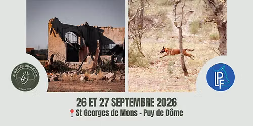 stage d\u00e9tection & recherche en d\u00e9combres 
