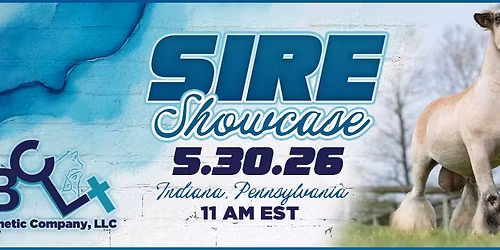 BCL Sire Showcase
