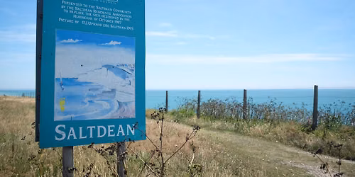 Saltdean Autumn Beach Clean