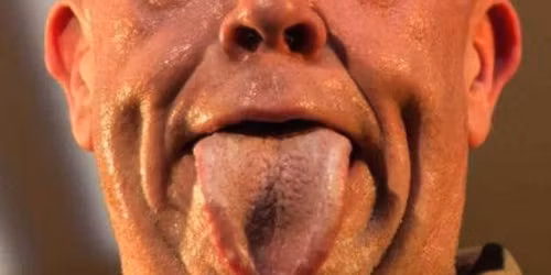 Bad Manners 50th anniversary tour