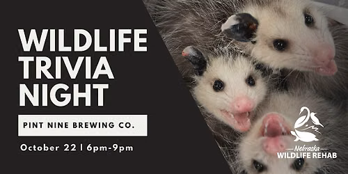 Wildlife Trivia Night w\/ Nebraska Wildlife Rehab