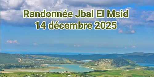 Randonn\u00e9e a djebel El Msid (Nefza)