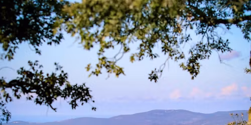 Randonn\u00e9e a djebel El Msid (Nefza)