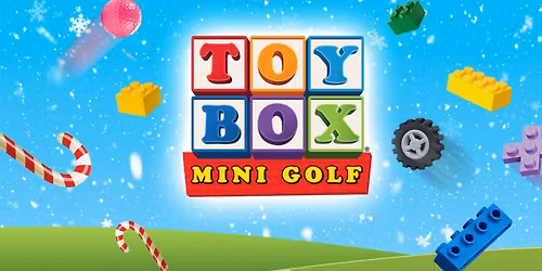 Holiday Lights at Toy Box!