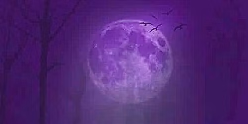 Samhain with South Bay Circles