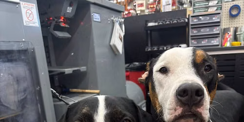 Adoption Event & Beekman Street Food Truck