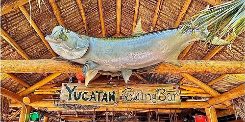 Ride to Matlacha - Lunch at Yucatan Waterfront