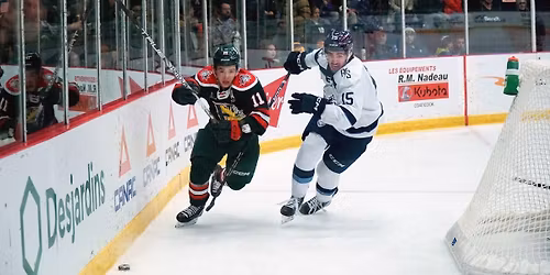 Halifax Mooseheads at Sherbrooke Phoenix