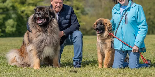 MONDAY 31st AUGUST \ud83d\udc15 FUN DOG SHOW \ud83d\udc15 Mill Lane, Yo89gl