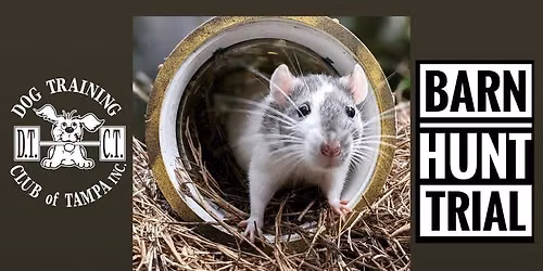 DTCT Barn Hunt Trial