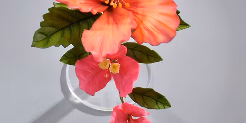 Exotic and Tropical Flower Class