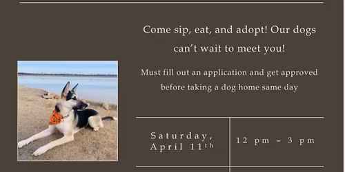 Tulsa Adoption Event!!!