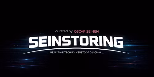 Seinstoring 