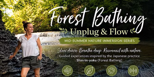 Forest Bathing at Hemlock Ridge