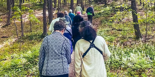 Spring Wildflower Walks