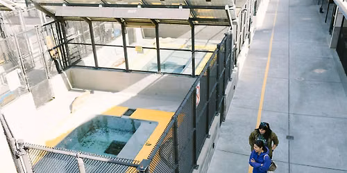 Behind-the-Scenes Experience at The Marine Mammal Center